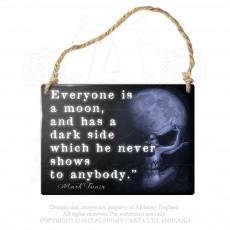 Everyone Is A Moon Hanging Plaque